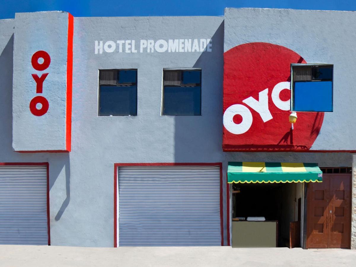 Oyo Promenade,Terminal Central De Autobuses De Гуанахуато Экстерьер фото