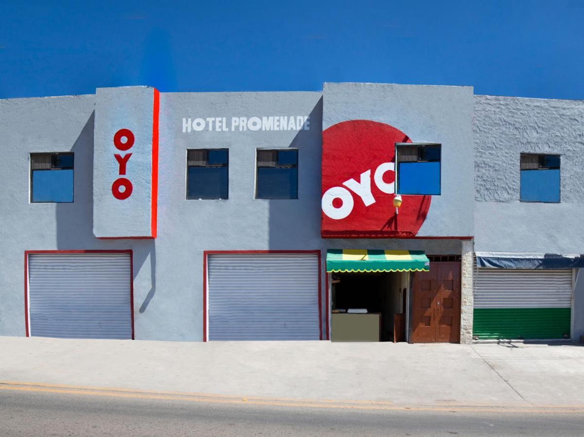Oyo Promenade,Terminal Central De Autobuses De Гуанахуато Экстерьер фото